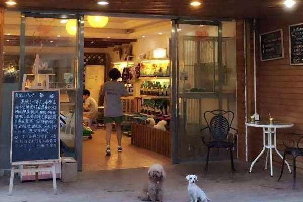 爱尚宠宠物店加盟