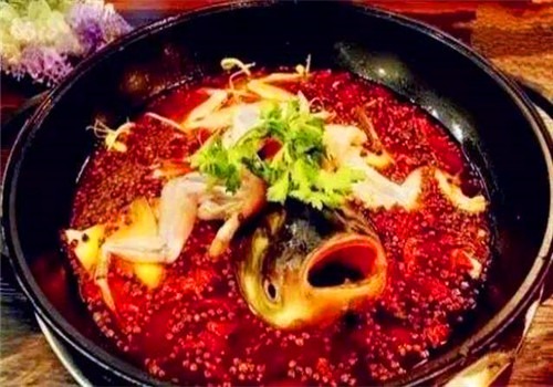 红蜻蜓鱼头火锅加盟