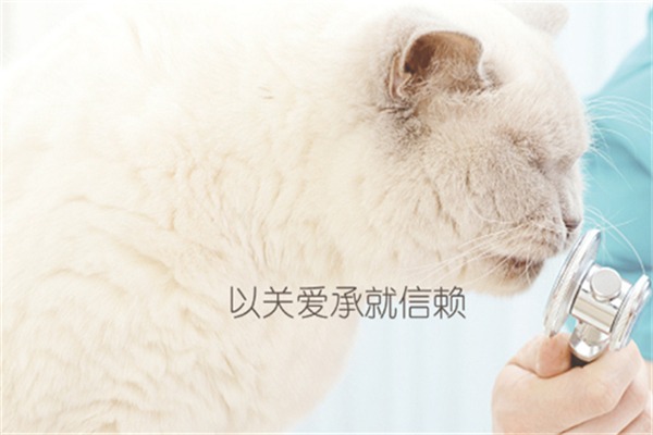 瑞派宠物医院加盟