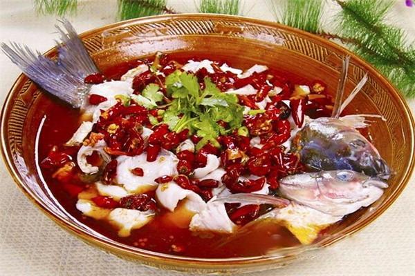 食鱼族加盟