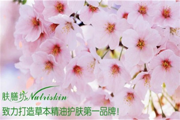肤膳坊化妆品加盟