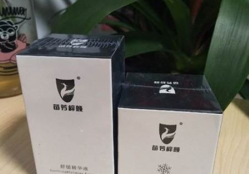 苗方梓颜加盟