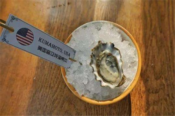 顽啤熊蚝门加盟
