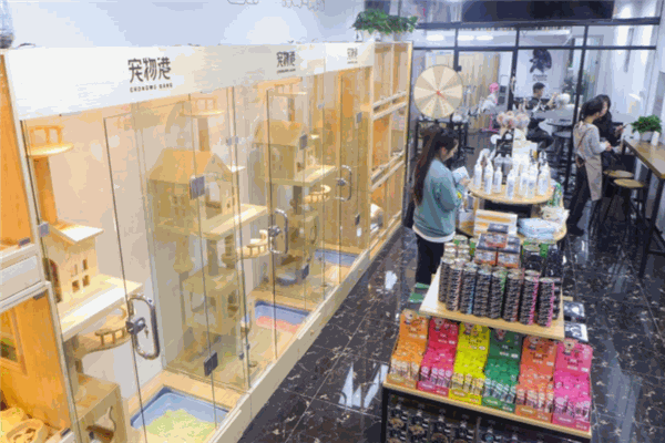 宠物港加盟