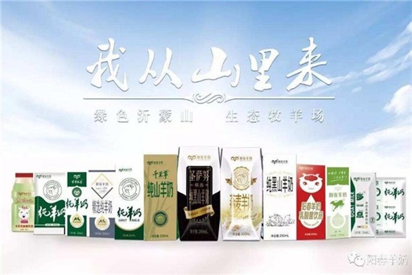 阳春羊奶加盟