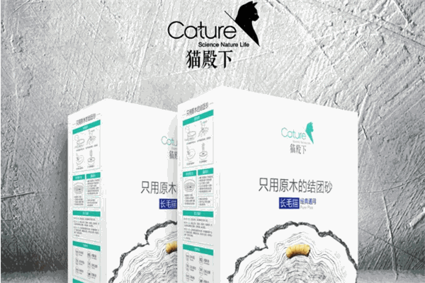 Cature猫殿下加盟