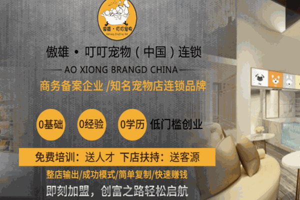 傲雄叮叮宠物加盟
