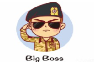 bigboss炸鸡啤酒加盟
