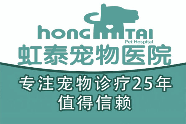 虹泰宠物医院加盟