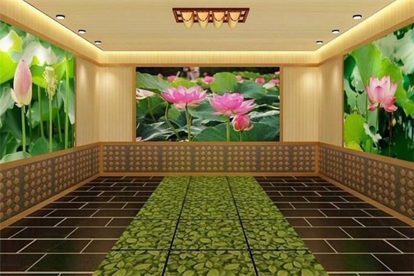 芳雅轩汗蒸加盟