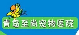 至尚宠物医院加盟