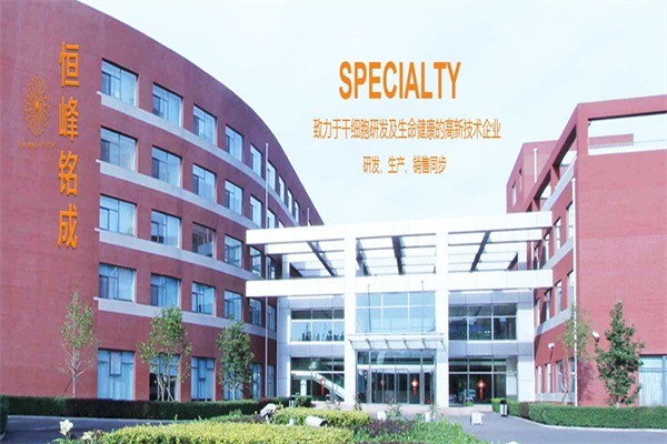 恒峰干细胞美容