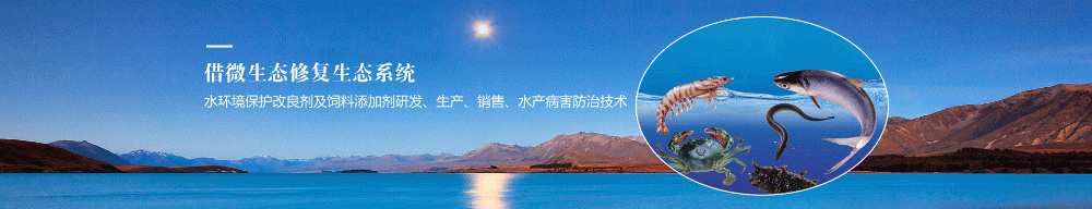 渔乐