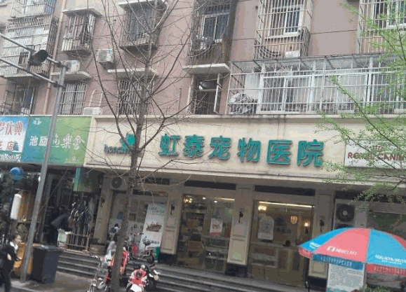 虹泰宠物医院