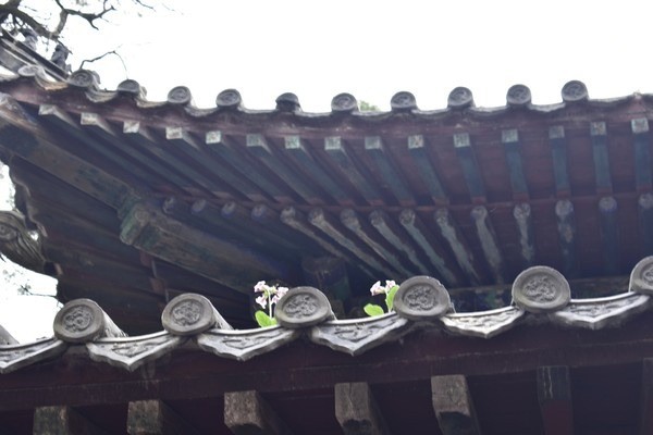 圣都古建砖瓦加盟