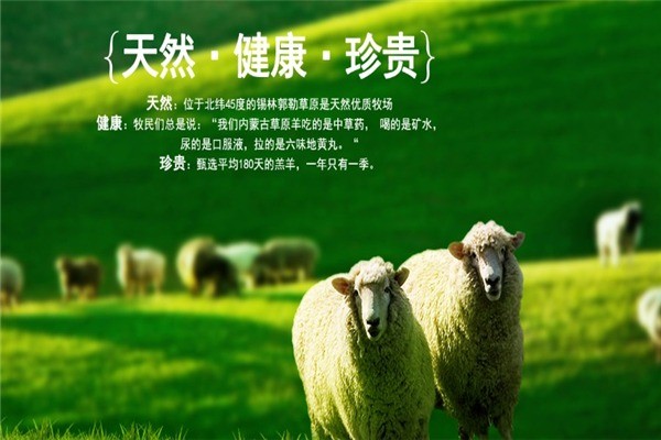 小肥羊火锅