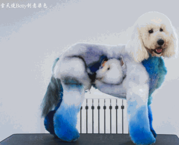 雪天使美容