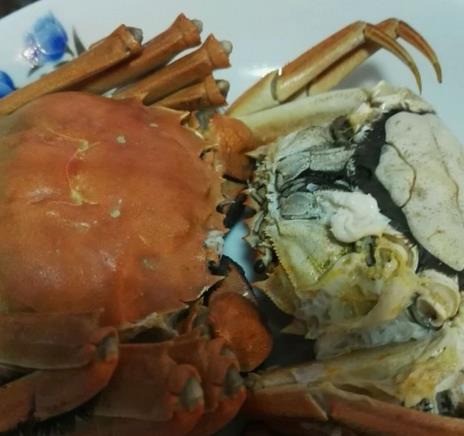 闻阳大闸蟹