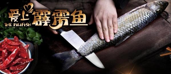 爱上霹雳鱼