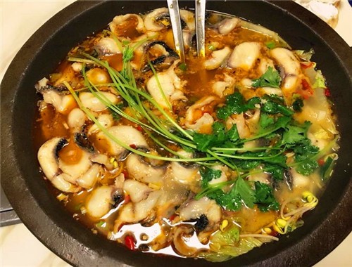 小杨特色石锅鱼