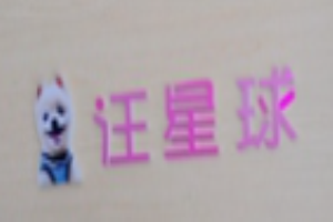 汪星球宠物店加盟