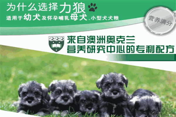 广城力狼宠物用品加盟