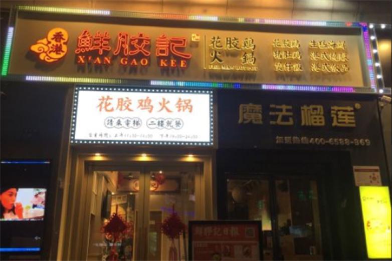 鲜胶记花胶鸡火锅