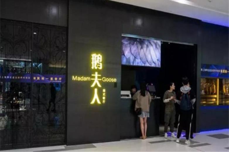 鹅夫人
