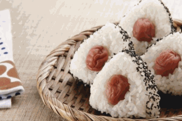 三合饭团加盟