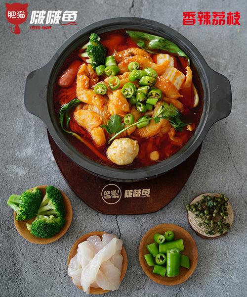 肥猫啵啵鱼