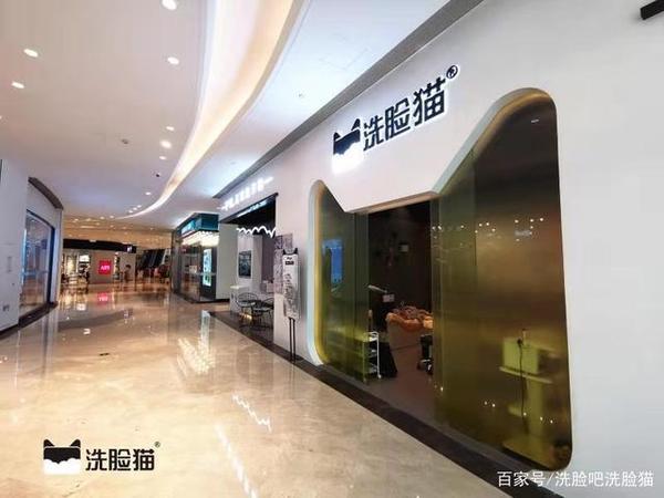 洗脸猫洗脸吧