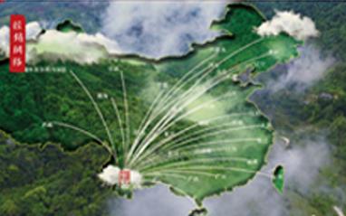 陈升号普洱茶