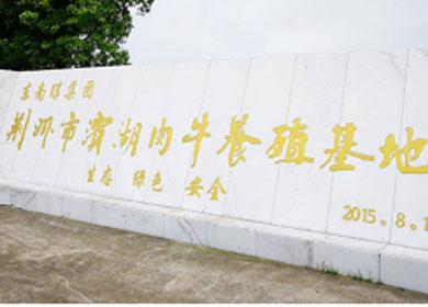 东南醇牛肉馆