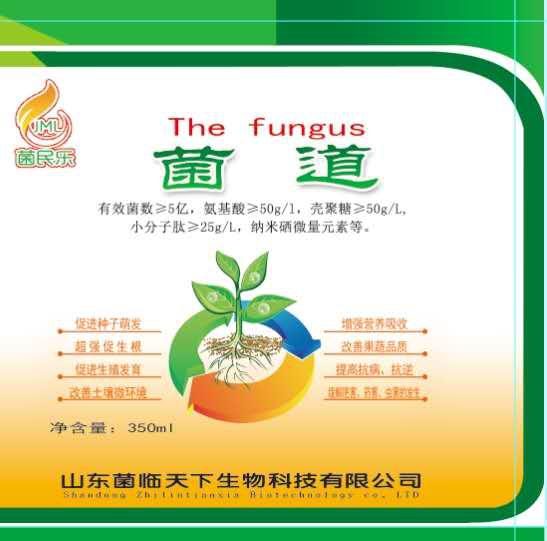 菌临天下