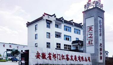 天之红祁门红茶
