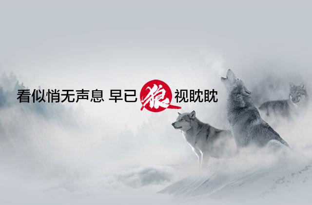 夜狼安防