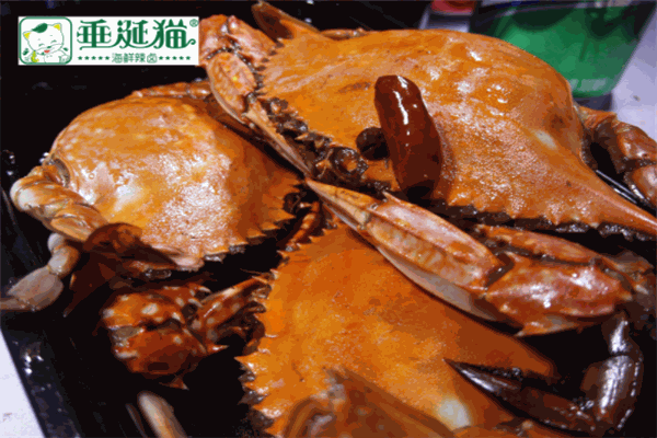 垂涎猫海鲜辣卤加盟