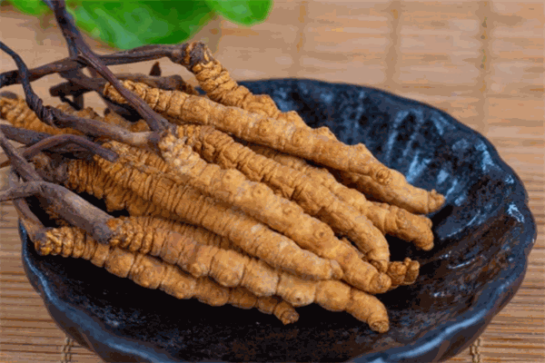 恒湘虫草加盟