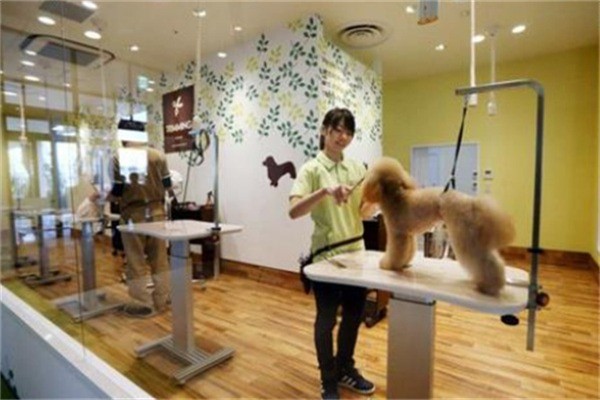 汤姆猫宠物店加盟