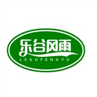 乐谷风雨女鞋加盟