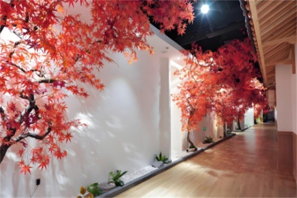 百花汤温泉加盟