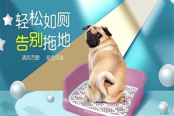 四邻宠物加盟