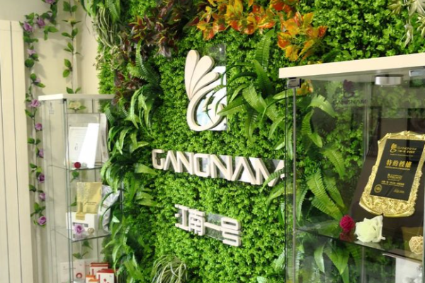 美容加盟十大品牌？美容行业领头羊盘点