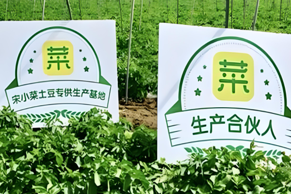 超市加盟店排行榜前十名？高收益超市品牌罗列