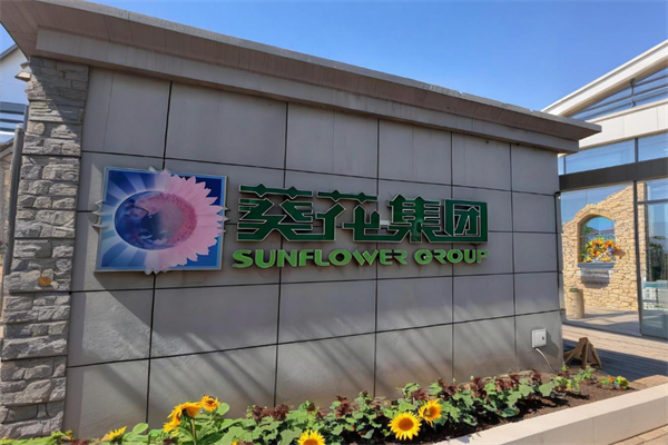 药店加盟排名：品牌排行榜大揭秘