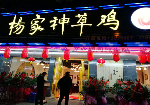 杨家神草鸡