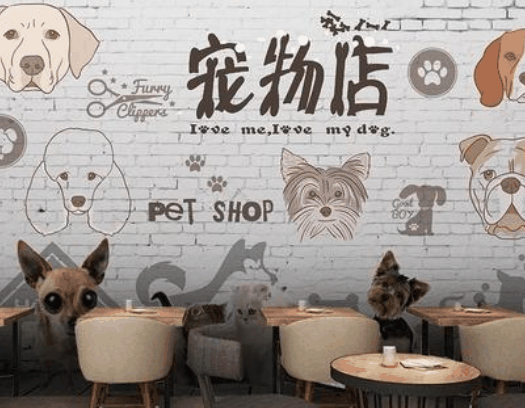 爱尚宠宠物店