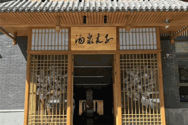 汤泉良子