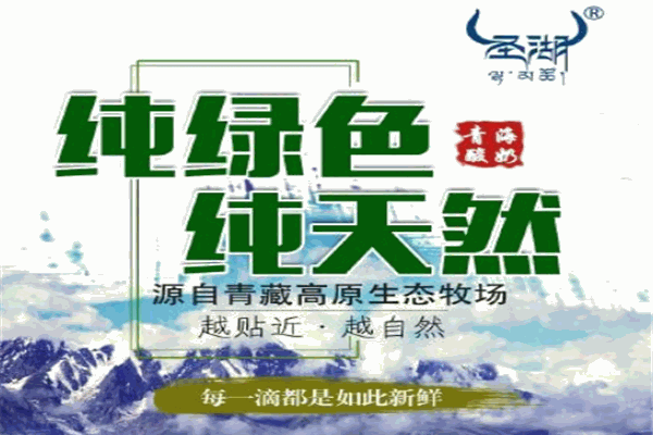 圣湖乳业加盟