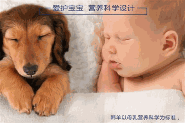 韩羊奶粉加盟